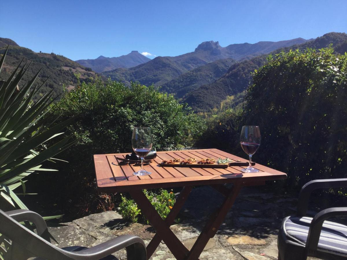 Olmares Terrace Apartment - Picos De Europa Lomeña エクステリア 写真