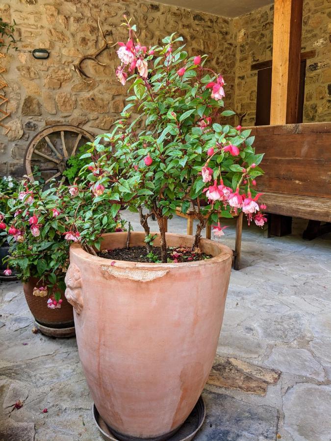 Olmares Terrace Apartment - Picos De Europa Lomeña エクステリア 写真
